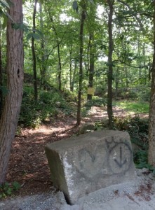 Trail off Mill Street, Lincoln where the body of Stephen "Stippo" Rakes was found by a jogger. Photo by Trisha Thomas