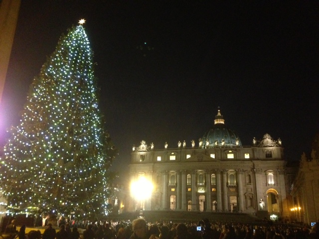The Vatican Christmas Tree shortly after the lights were turned on. December 13, 2013. Photo by Trisha Thomas