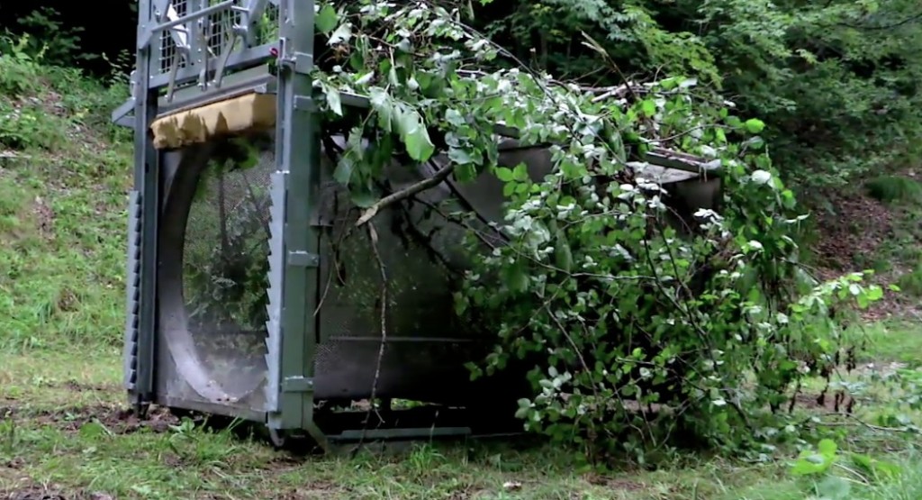Bear trap set up in the woods in Trentino to catch Daniza.  Freeze frame of video shot by Italian Forest Rangers and provided by the Province of Trentino. August 22, 2014