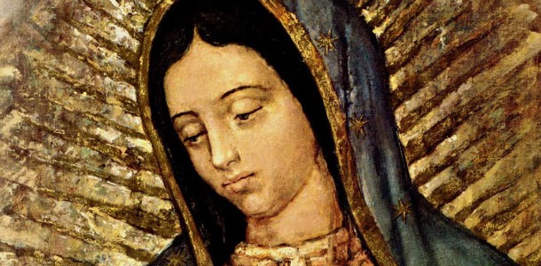 Our Lady of Guadelupe