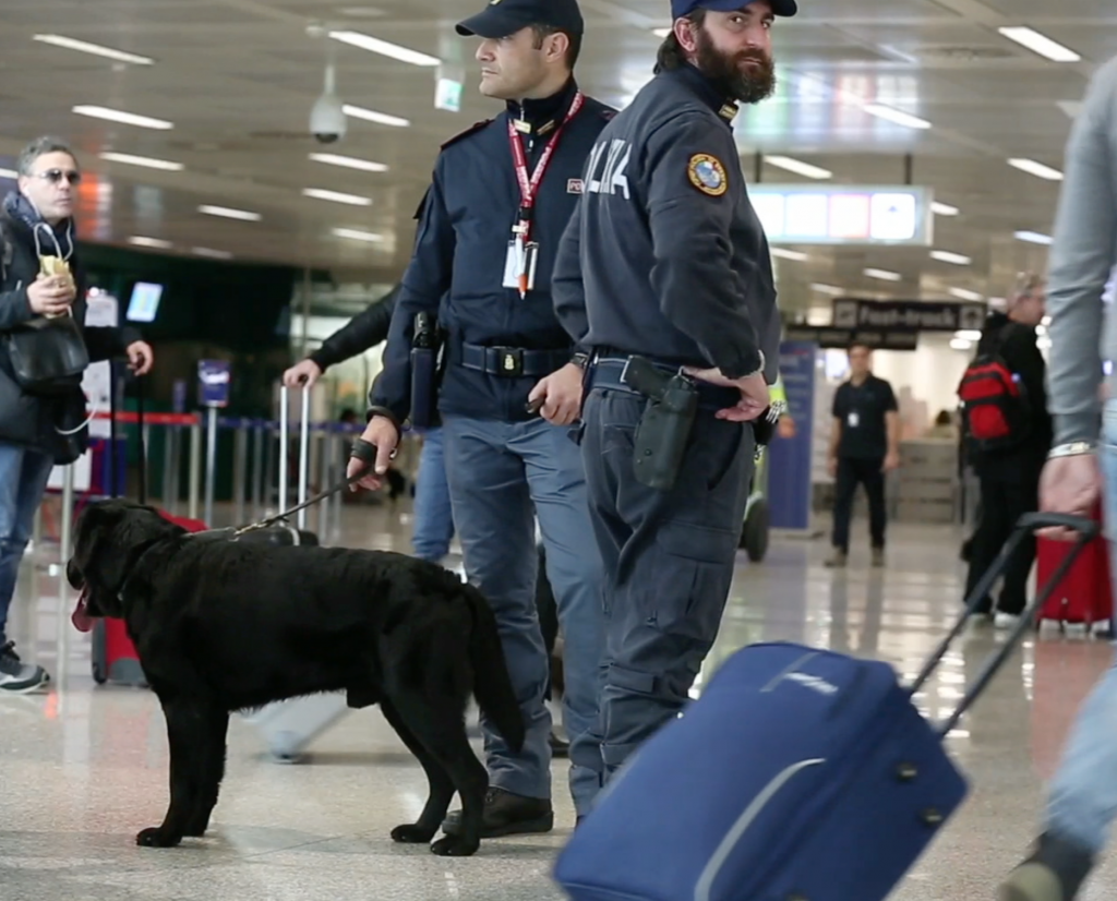 Police patrolling the airport in Rome following the terror attacks in Brussels. Freeze frame of video shot by Associated Press Photographer Alessandra Tarantino March 22, 2016