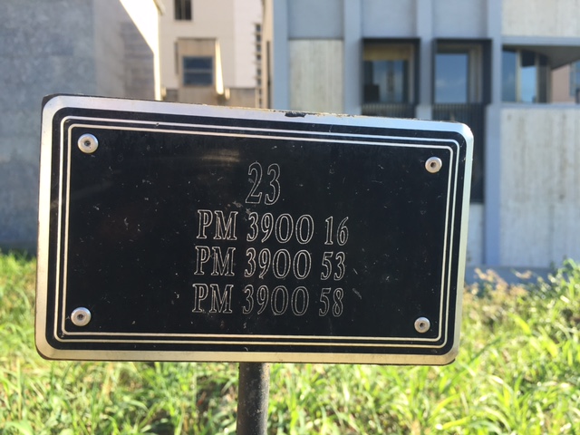 A plaque with the serial numbers of 3 migrants who died in the April 18, 2015 shipwreck in the graveyard in Catania, Sicily. Photo by Trisha Thomas, October 9, 2016