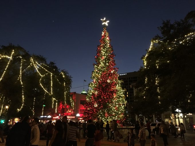 Christmas Tree in front of the Alamo in San Antonio, Texas. December 25, 2016. Photo by Trisha Thomas